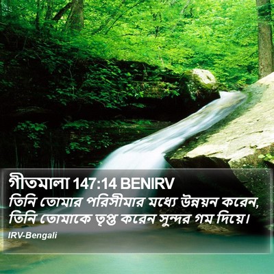 গীতমালা 147:14 BENIRV Bible Verse Image