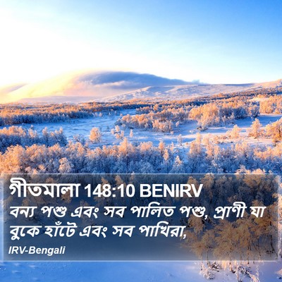 গীতমালা 148:10 BENIRV Bible Verse Image
