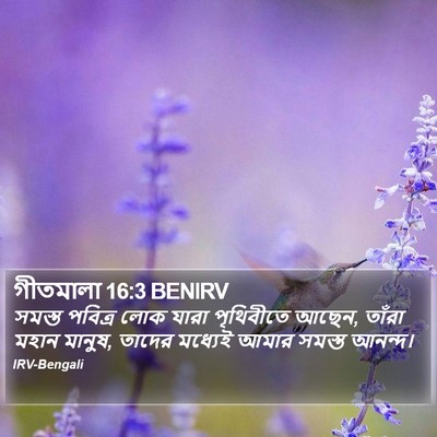 গীতমালা 16:3 BENIRV Bible Verse Image
