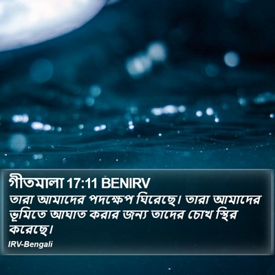 গীতমালা 17:11 BENIRV Bible Verse Image