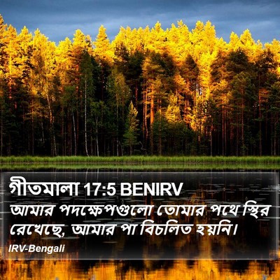 গীতমালা 17:5 BENIRV Bible Verse Image