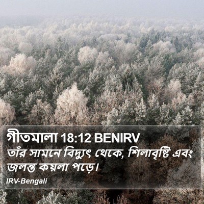 গীতমালা 18:12 BENIRV Bible Verse Image