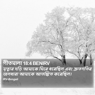 গীতমালা 18:4 BENIRV Bible Verse Image