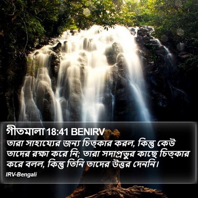 গীতমালা 18:41 BENIRV Bible Verse Image