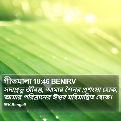 গীতমালা 18:46 BENIRV Bible Verse Image