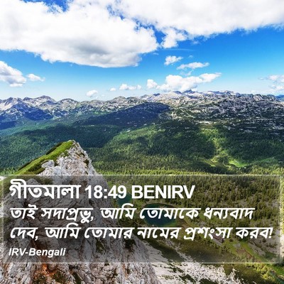 গীতমালা 18:49 BENIRV Bible Verse Image