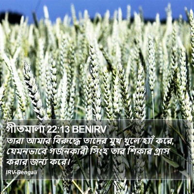গীতমালা 22:13 BENIRV Bible Verse Image
