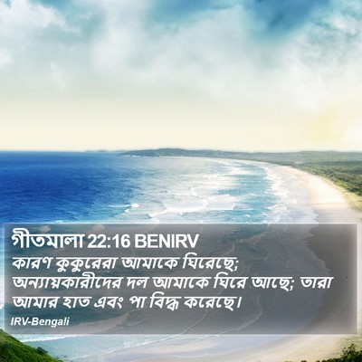 গীতমালা 22:16 BENIRV Bible Verse Image