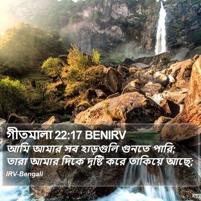গীতমালা 22:17 BENIRV Bible Verse Image