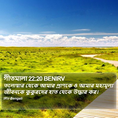 গীতমালা 22:20 BENIRV Bible Verse Image