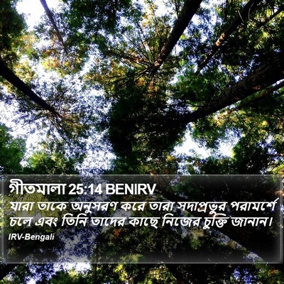 গীতমালা 25:14 BENIRV Bible Verse Image