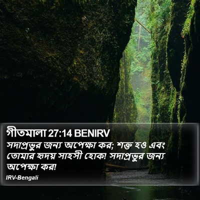 গীতমালা 27:14 BENIRV Bible Verse Image