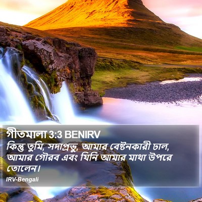 গীতমালা 3:3 BENIRV Bible Verse Image