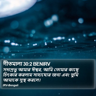 গীতমালা 30:2 BENIRV Bible Verse Image