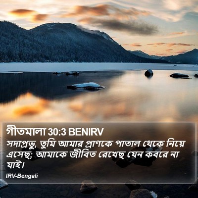 গীতমালা 30:3 BENIRV Bible Verse Image