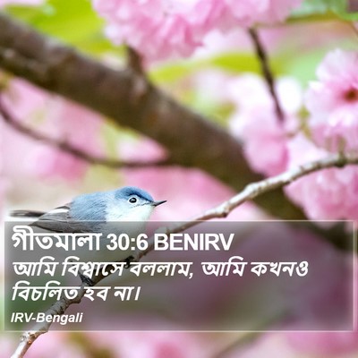 গীতমালা 30:6 BENIRV Bible Verse Image