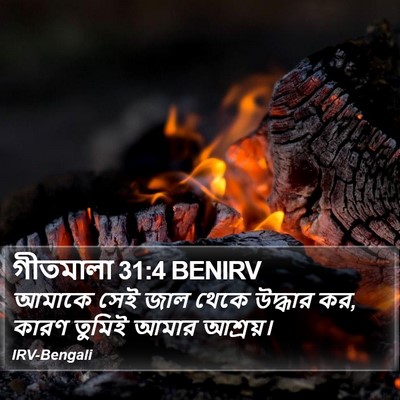 গীতমালা 31:4 BENIRV Bible Verse Image