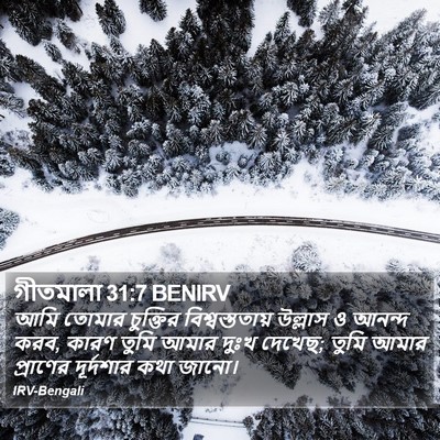গীতমালা 31:7 BENIRV Bible Verse Image