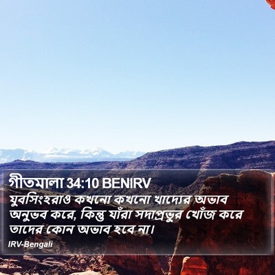 গীতমালা 34:10 BENIRV Bible Verse Image