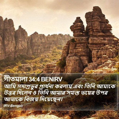 গীতমালা 34:4 BENIRV Bible Verse Image