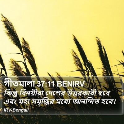 গীতমালা 37:11 BENIRV Bible Verse Image