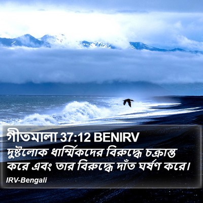 গীতমালা 37:12 BENIRV Bible Verse Image