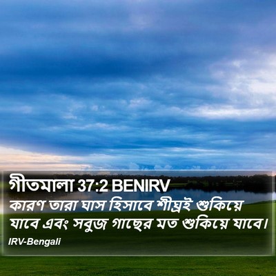 গীতমালা 37:2 BENIRV Bible Verse Image