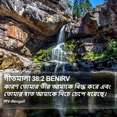 গীতমালা 38:2 BENIRV Bible Verse Image