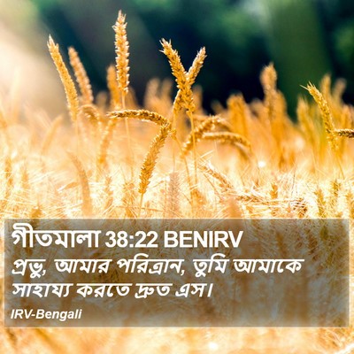 গীতমালা 38:22 BENIRV Bible Verse Image
