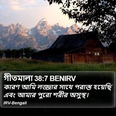 গীতমালা 38:7 BENIRV Bible Verse Image