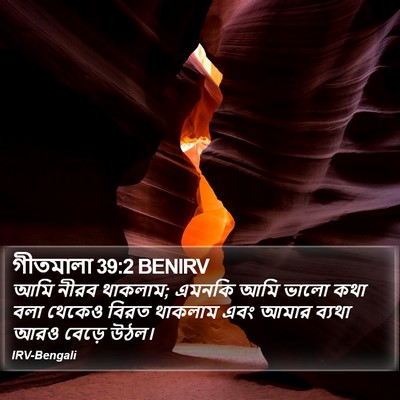 গীতমালা 39:2 BENIRV Bible Verse Image