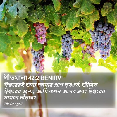 গীতমালা 42:2 BENIRV Bible Verse Image