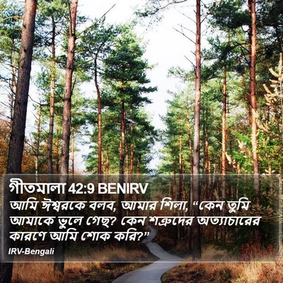 গীতমালা 42:9 BENIRV Bible Verse Image