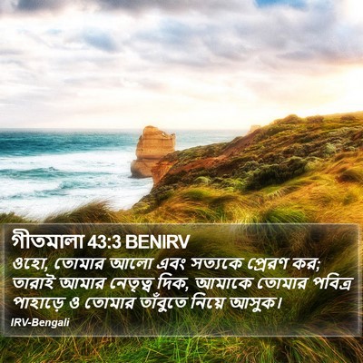 গীতমালা 43:3 BENIRV Bible Verse Image