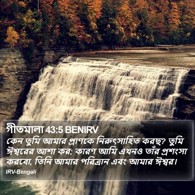 গীতমালা 43:5 BENIRV Bible Verse Image