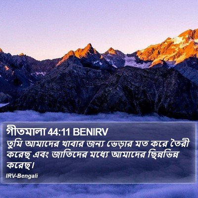 গীতমালা 44:11 BENIRV Bible Verse Image