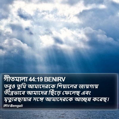 গীতমালা 44:19 BENIRV Bible Verse Image