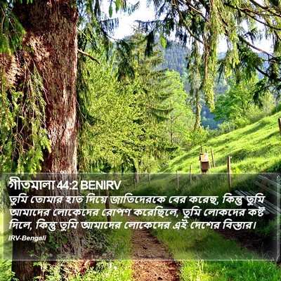গীতমালা 44:2 BENIRV Bible Verse Image