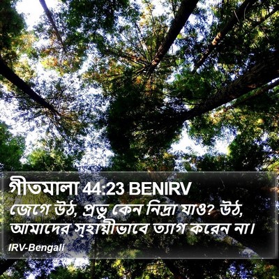 গীতমালা 44:23 BENIRV Bible Verse Image