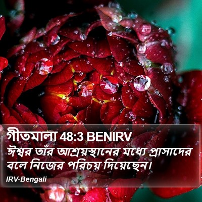 গীতমালা 48:3 BENIRV Bible Verse Image