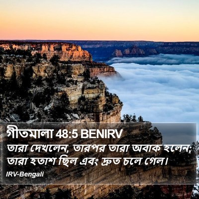 গীতমালা 48:5 BENIRV Bible Verse Image
