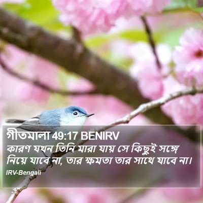 গীতমালা 49:17 BENIRV Bible Verse Image