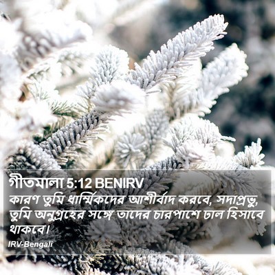 গীতমালা 5:12 BENIRV Bible Verse Image