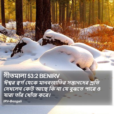 গীতমালা 53:2 BENIRV Bible Verse Image