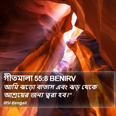 গীতমালা 55:8 BENIRV Bible Verse Image