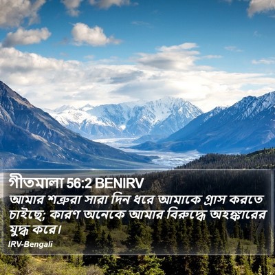 গীতমালা 56:2 BENIRV Bible Verse Image