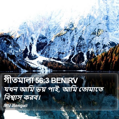 গীতমালা 56:3 BENIRV Bible Verse Image