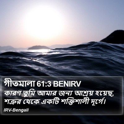 গীতমালা 61:3 BENIRV Bible Verse Image
