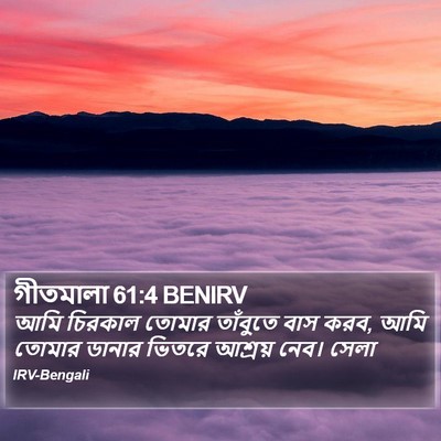 গীতমালা 61:4 BENIRV Bible Verse Image