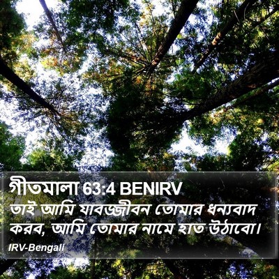 গীতমালা 63:4 BENIRV Bible Verse Image